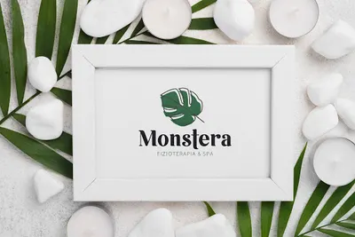 Monstera Fizjoterapia & Spa